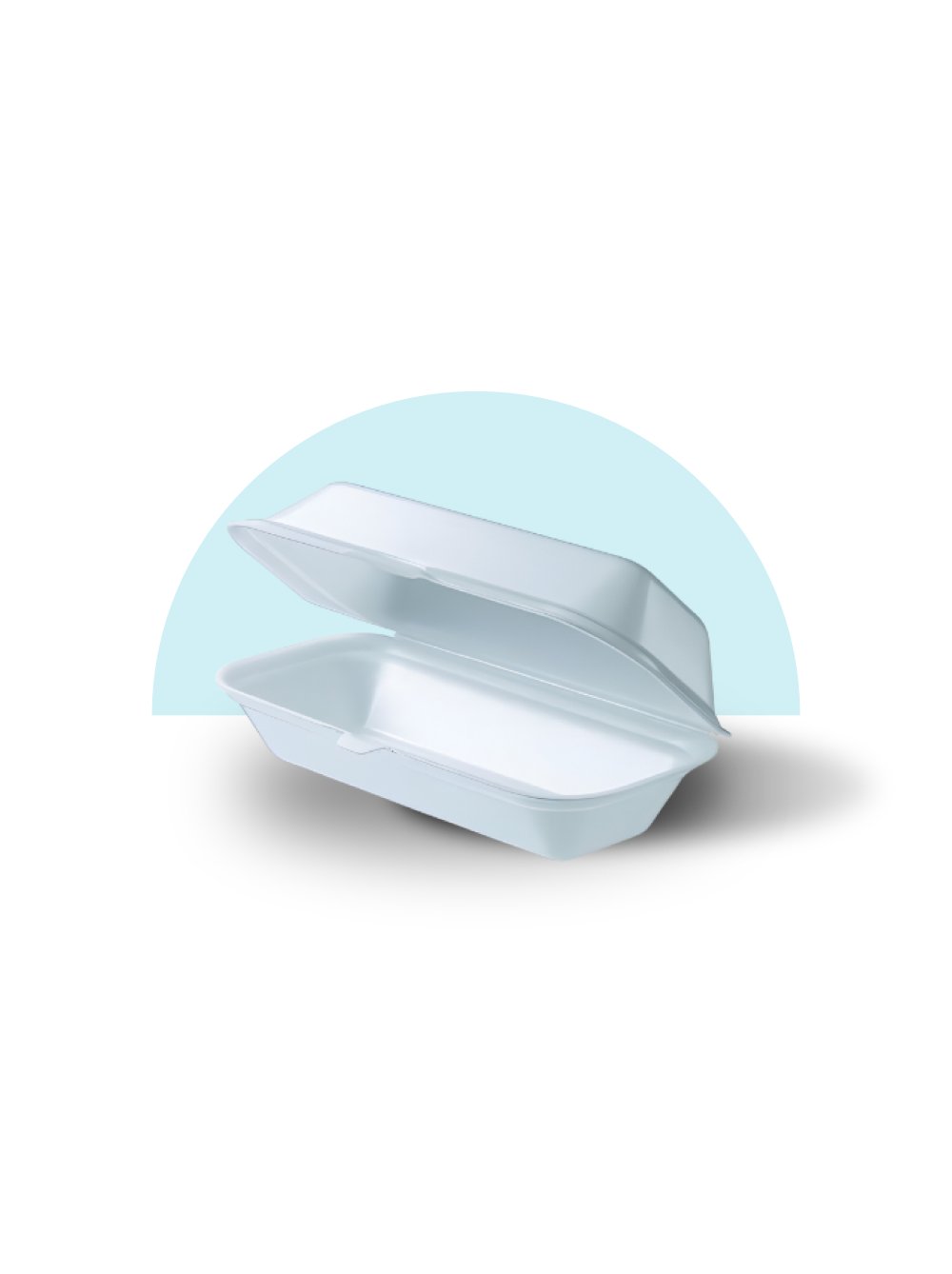 Foam Hotdog Container