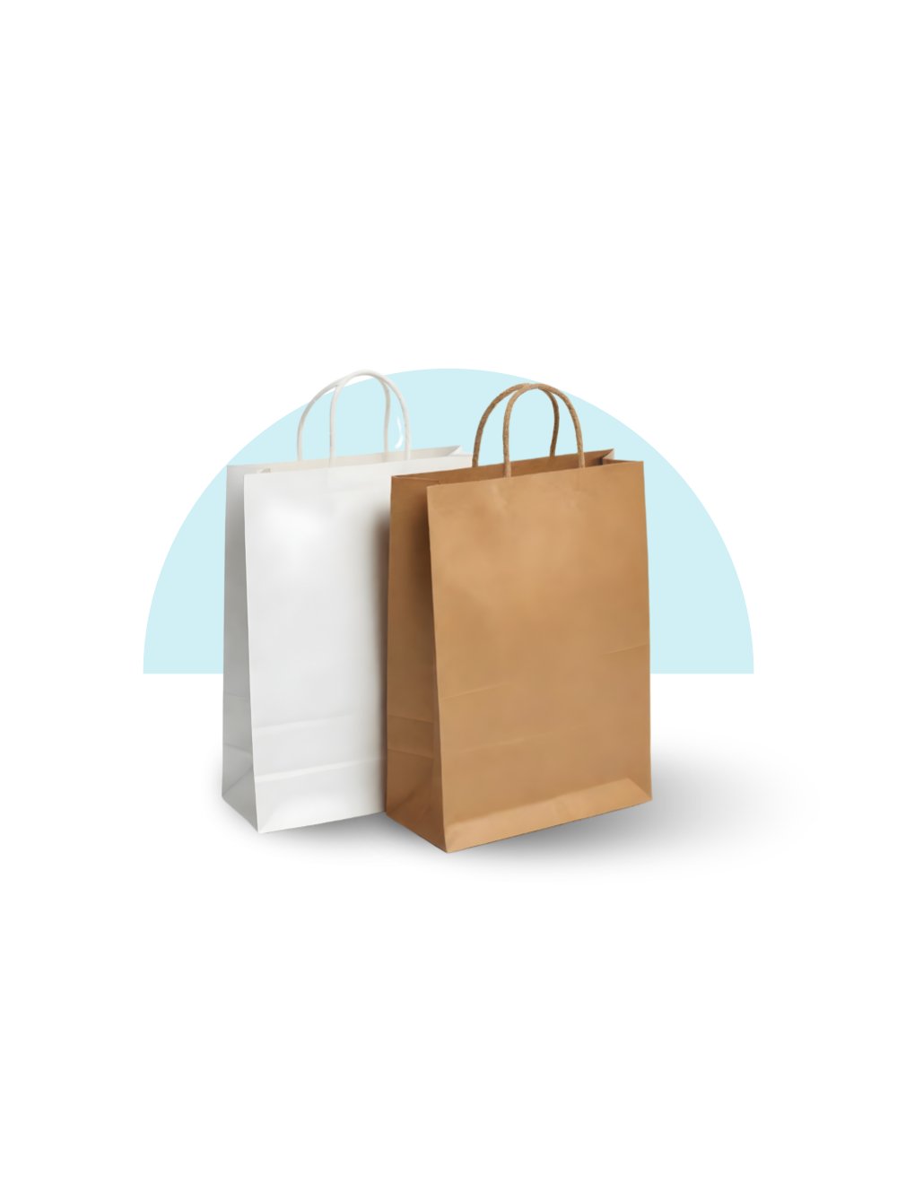 Paper Bag With Handle